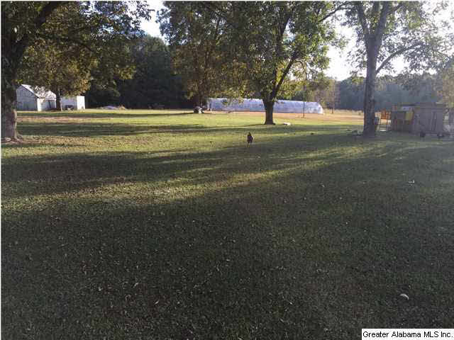 6020 Warrior River Road Bessemer, AL 35023 - Photo 8 of 22