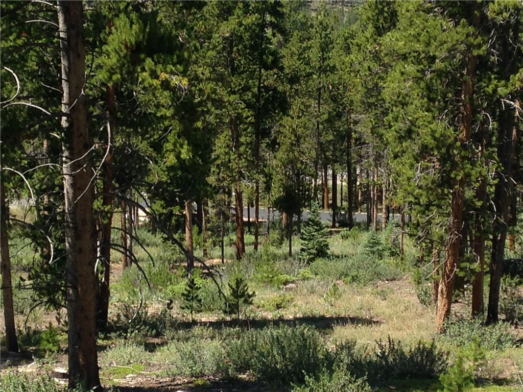 71 Rounds Road Breckenridge, CO 80424 - Photo 6 of 7 Gallery Image 6