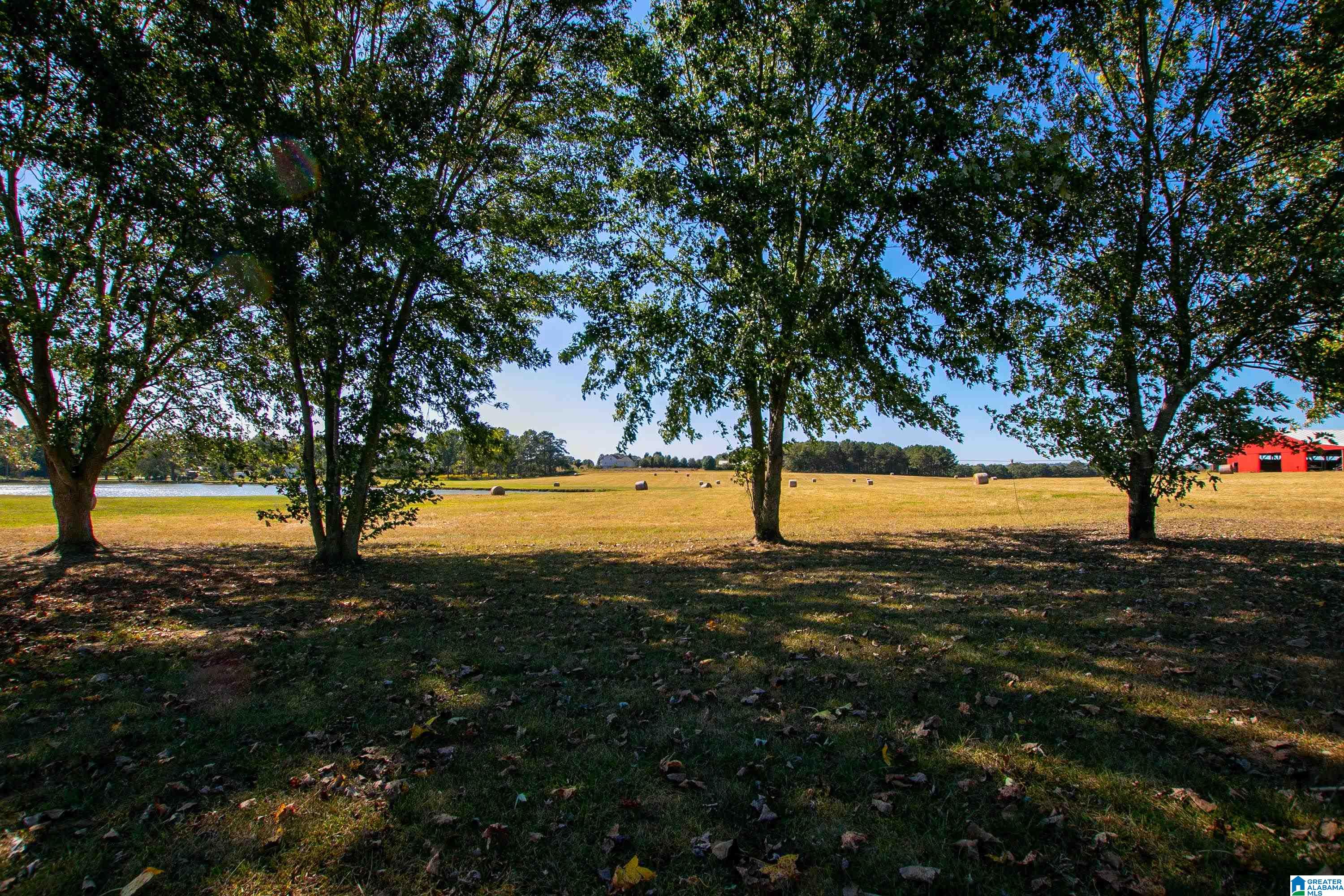 175 River Bend Road Altoona, AL 35952 - Photo 35 of 40