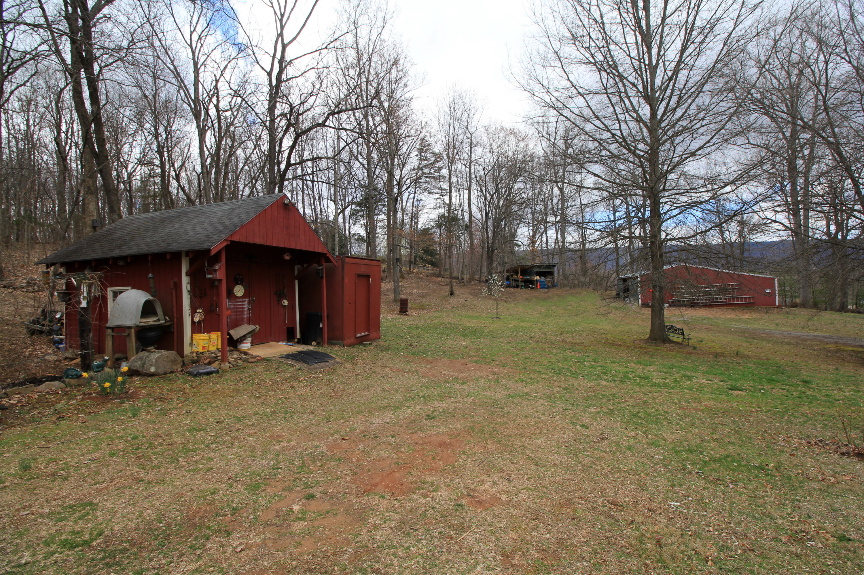 123 High Bridge Church Road Natural Bridge, VA 24578 - Photo 14 of 15 Back Yard