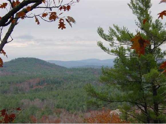 0 Norton Road Brownfield, ME 04010 - Photo 1 of 8