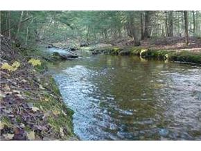 0 Norton Road Brownfield, ME 04010 - Photo 3 of 8