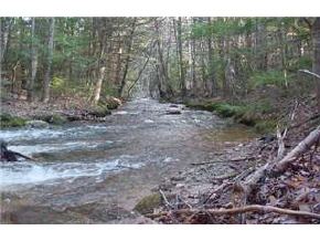 0 Norton Road Brownfield, ME 04010 - Photo 4 of 8