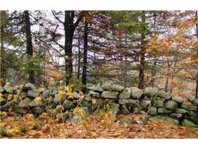 0 Norton Road Brownfield, ME 04010 - Photo 7 of 8