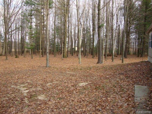 861 Parks Road Goodells, MI 48027 - Photo 3 of 13 003