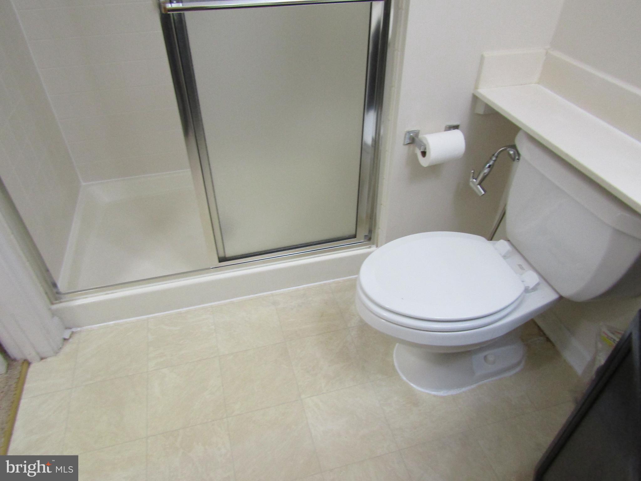 12919 Alton Square, Unit 106 Herndon, VA 20170 - Photo 31 of 44 Standing shower