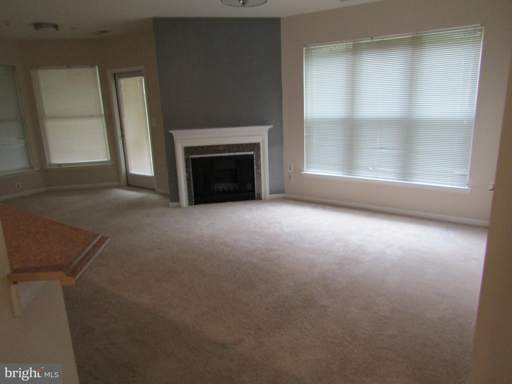12919 Alton Square, Unit 106 Herndon, VA 20170 - Photo 8 of 44 Living Room with Fire Place