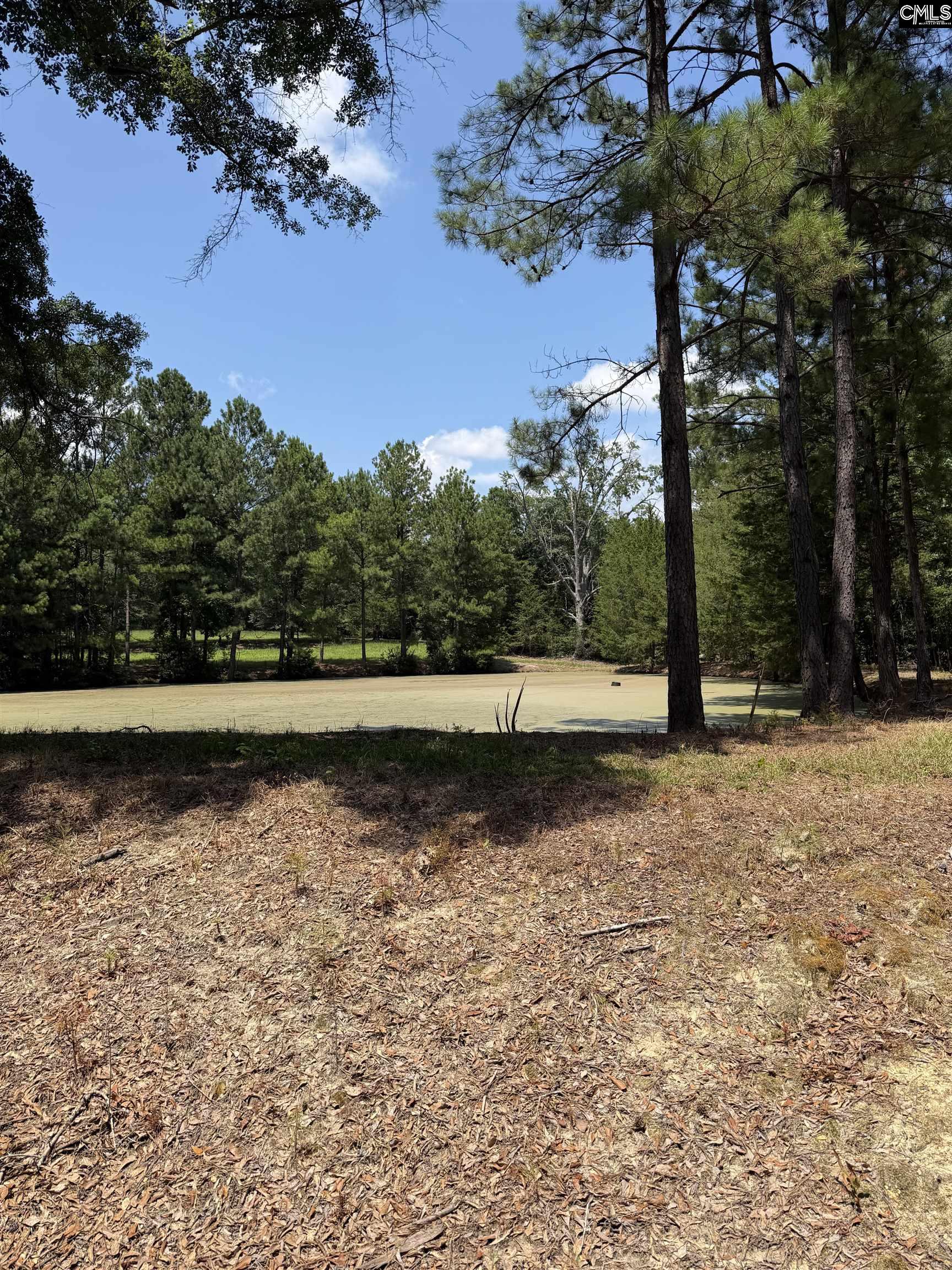 812 Sandfield Road Blythewood, SC 29016 - Photo 13 of 25