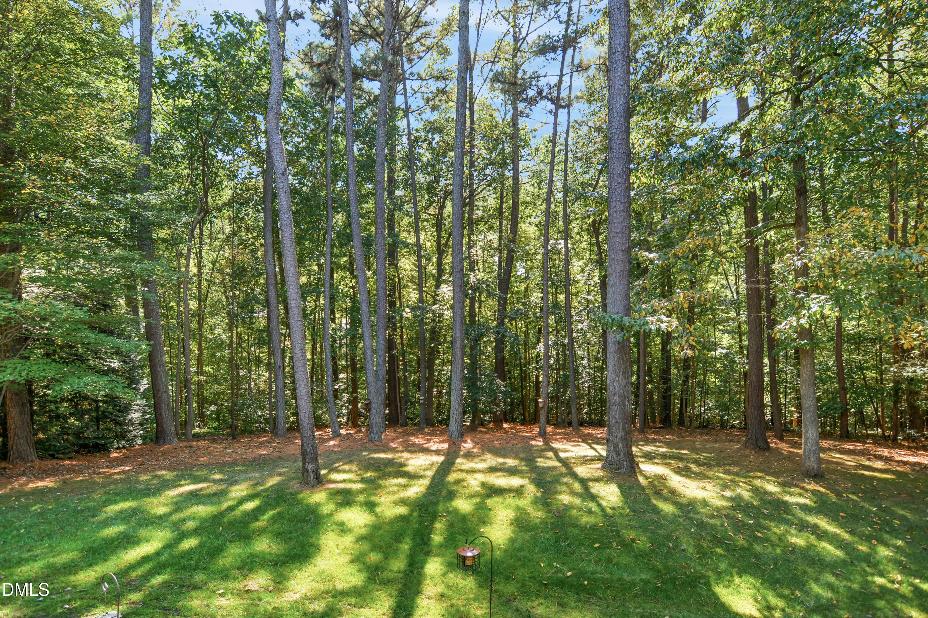 1409 Caistor Lane Raleigh, NC 27614 - Photo 43 of 46 43