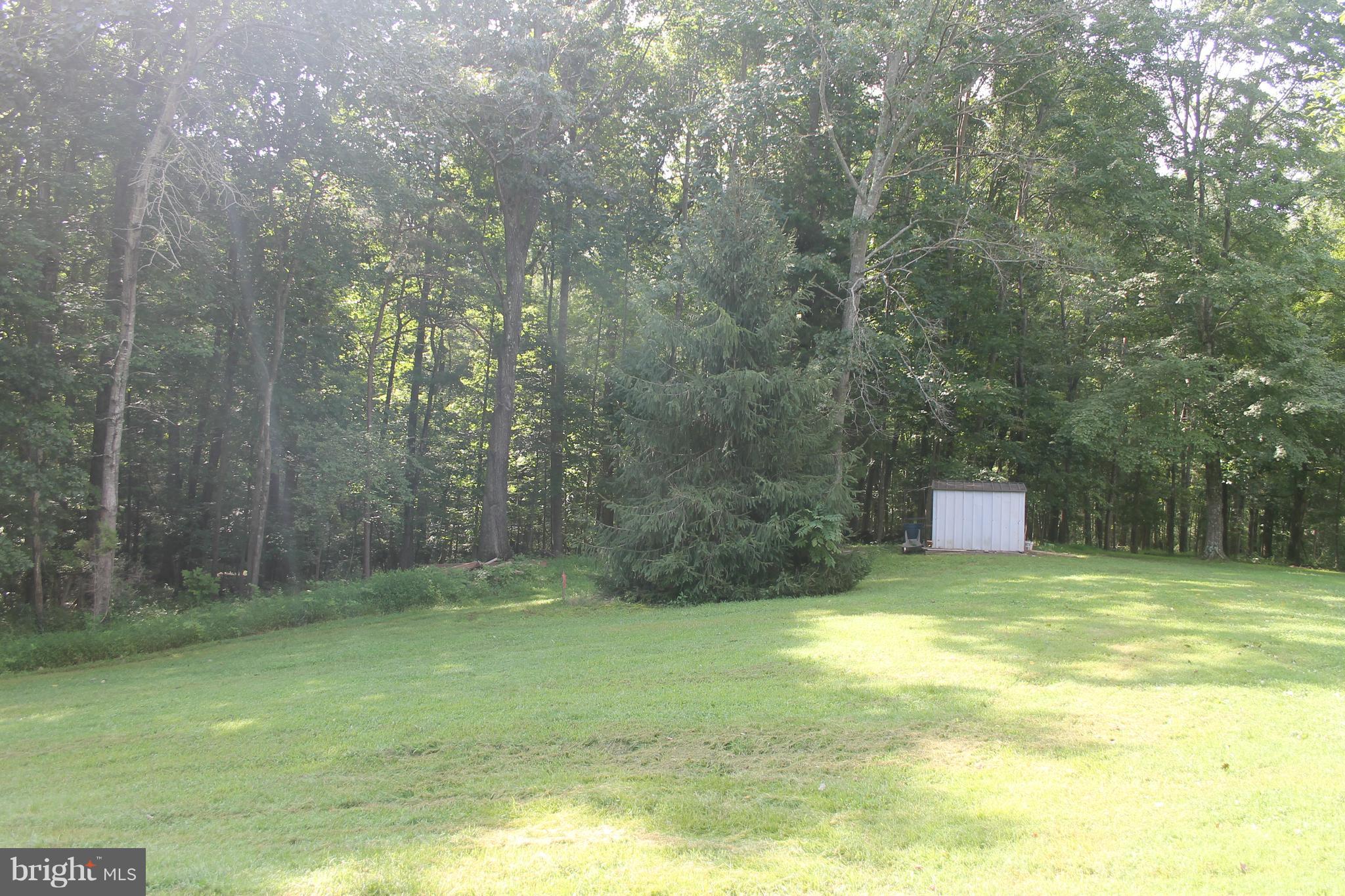 2575 Courtney School Road Midland, VA 22728 - Photo 23 of 25 Back Yard with shed