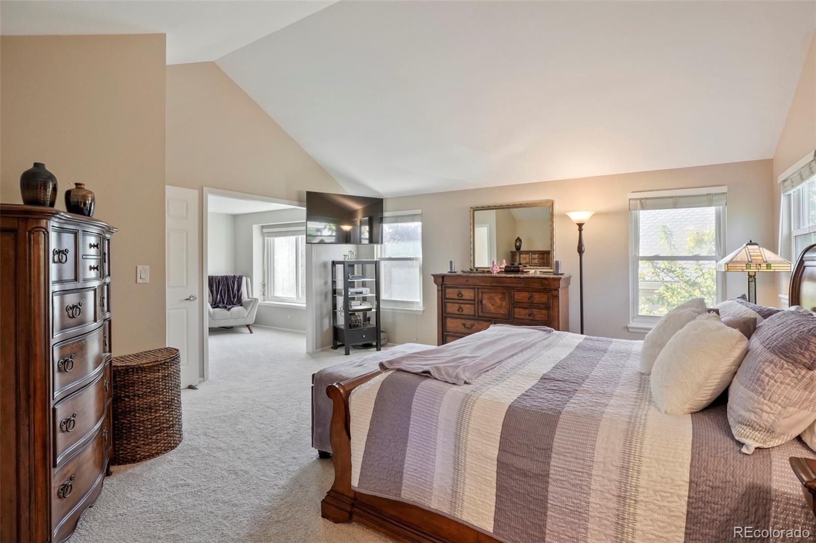9061 Sunset Ridge Court Highlands Ranch, CO 80126 - Photo 19 of 32