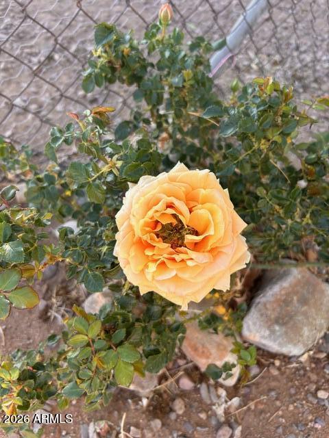 3821 East Keeling Road Hereford, AZ 85615 - Photo 30 of 41 IMG_3229