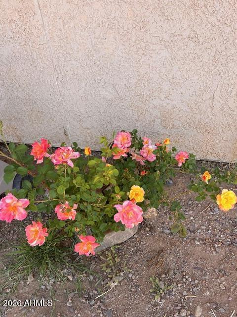 3821 East Keeling Road Hereford, AZ 85615 - Photo 31 of 41 IMG_3235