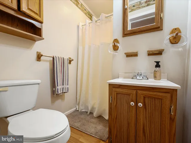 a view of a garden with a chair