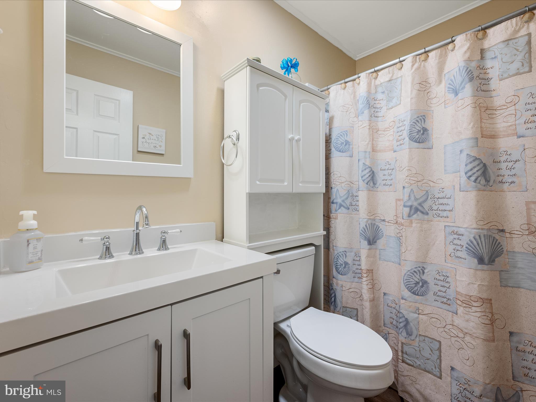 281 Light Road Winchester, VA 22603 - Photo 40 of 54 Hall Bath