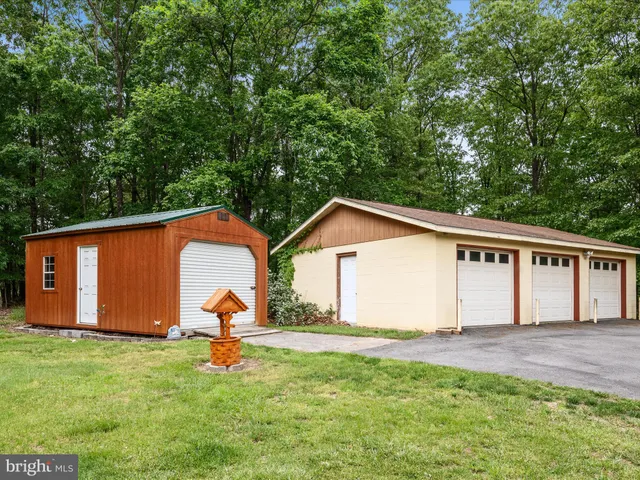 a park view with a bench