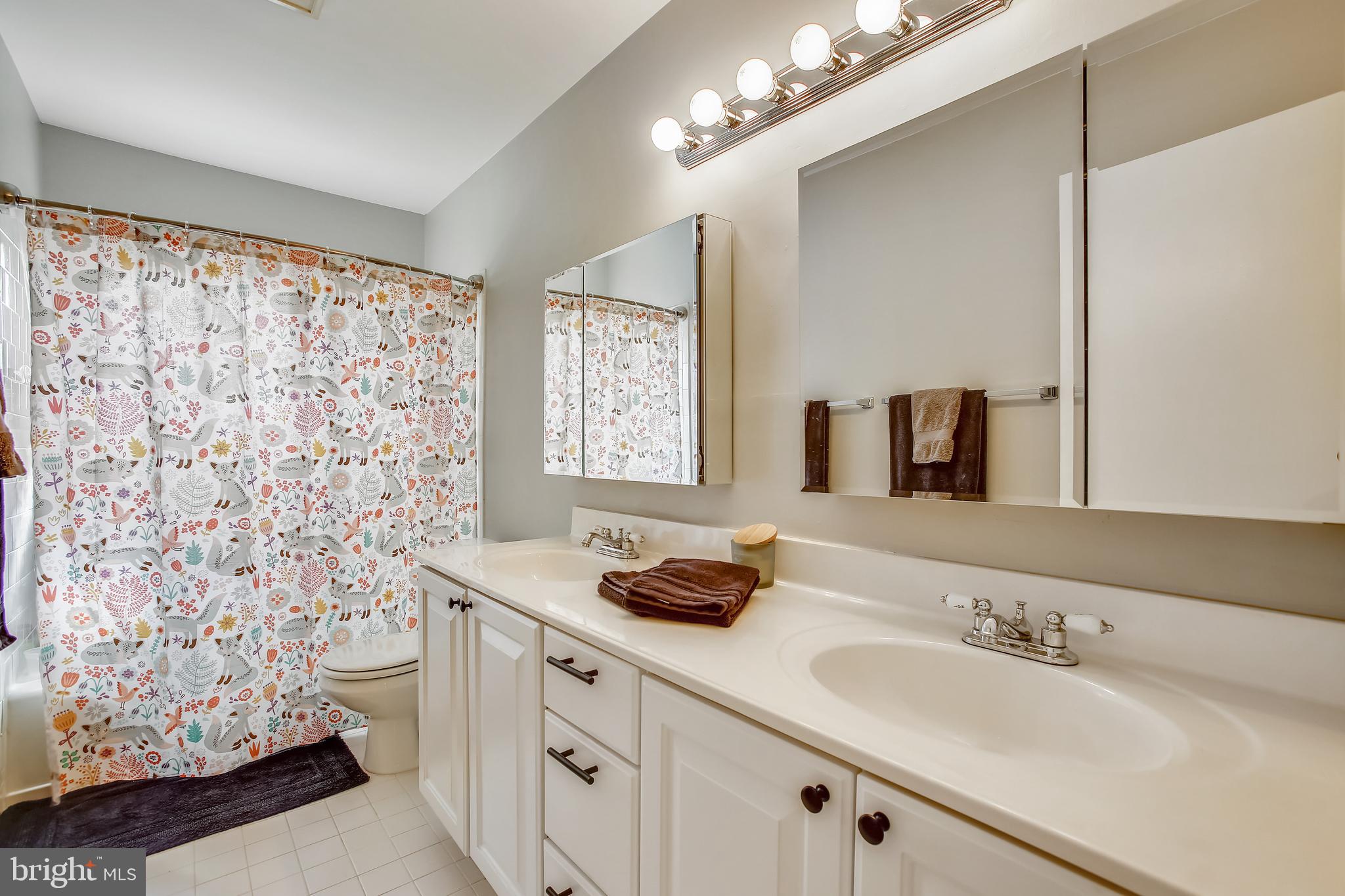 6005 Filbert Court Springfield, VA 22152 - Photo 39 of 55 a bathroom with a sink and a mirror