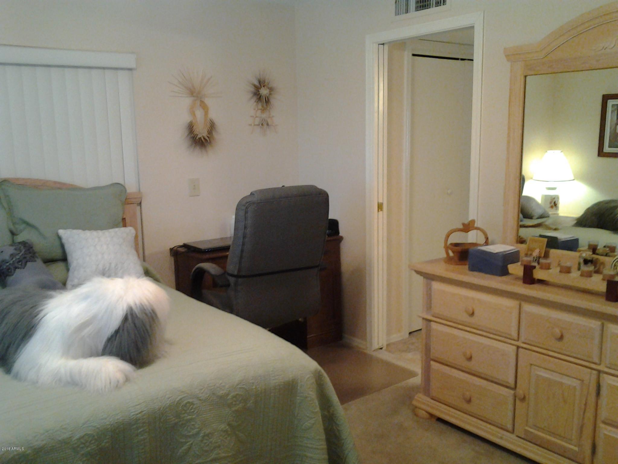 604 South Rochester Mesa, AZ 85206 - Photo 18 of 29 20160217_140412