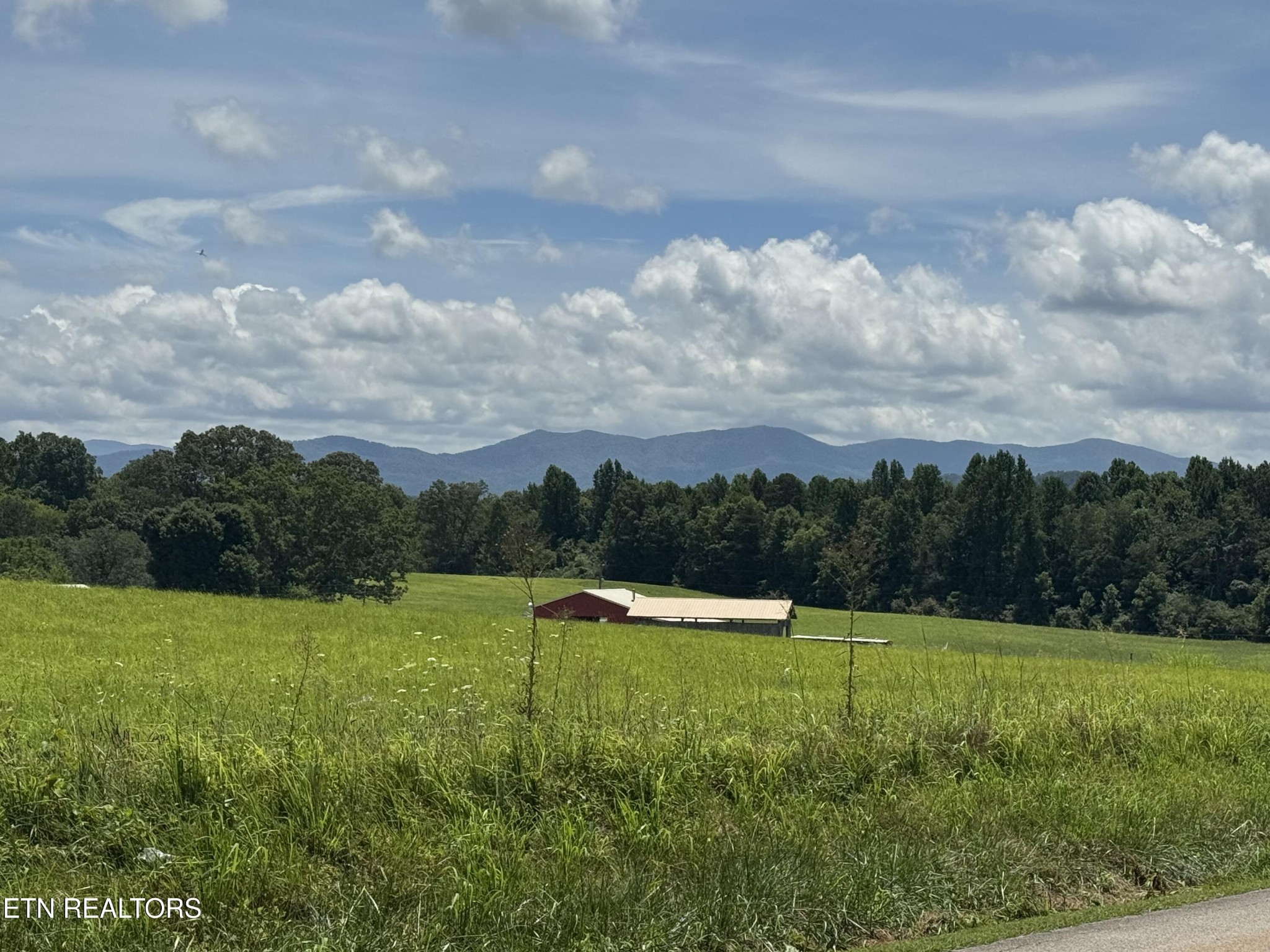131 Lee Road Tellico Plains, TN 37385 - Photo 5 of 24 Gallery Image 5