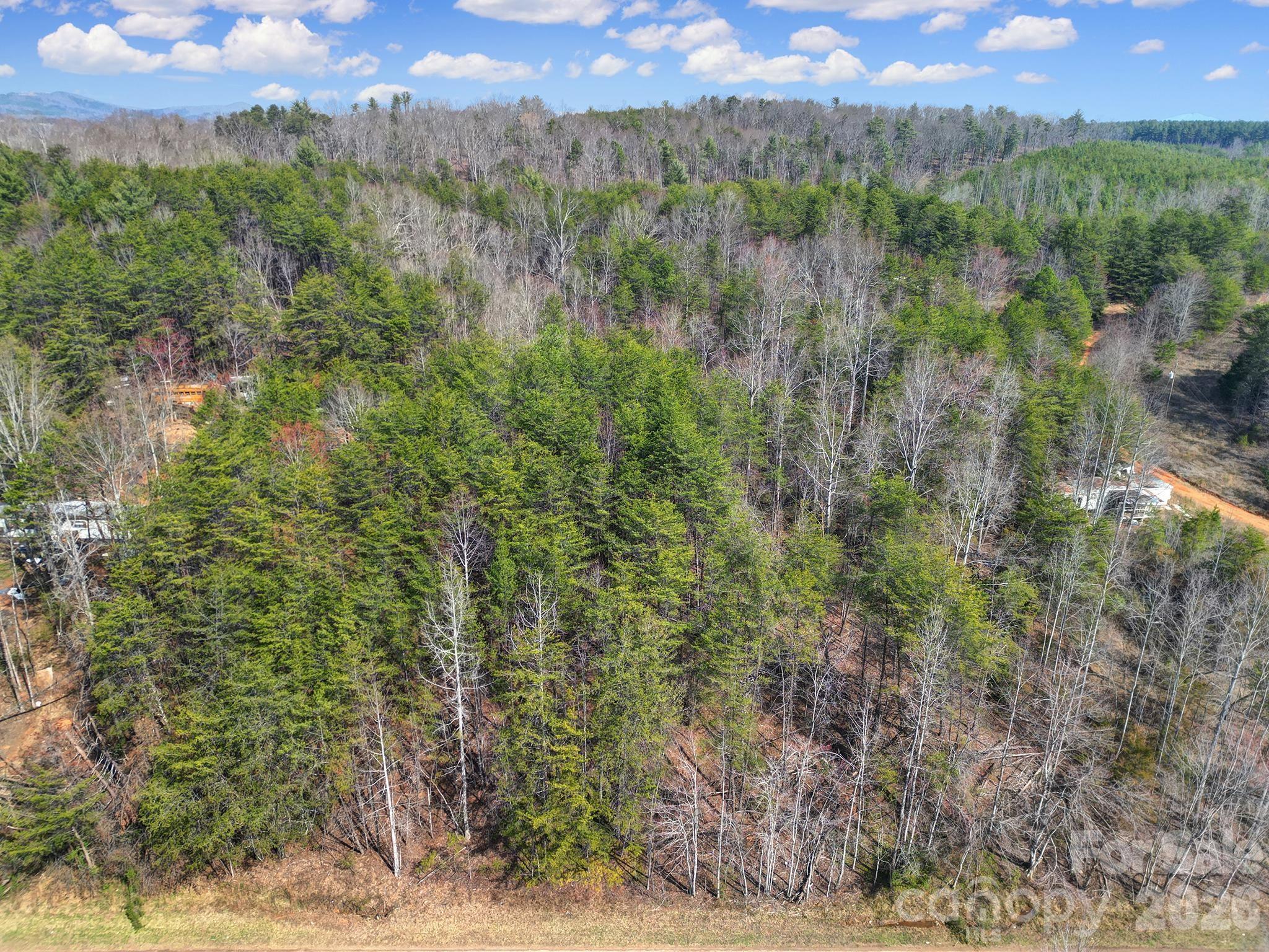a view of a city with lush green forest