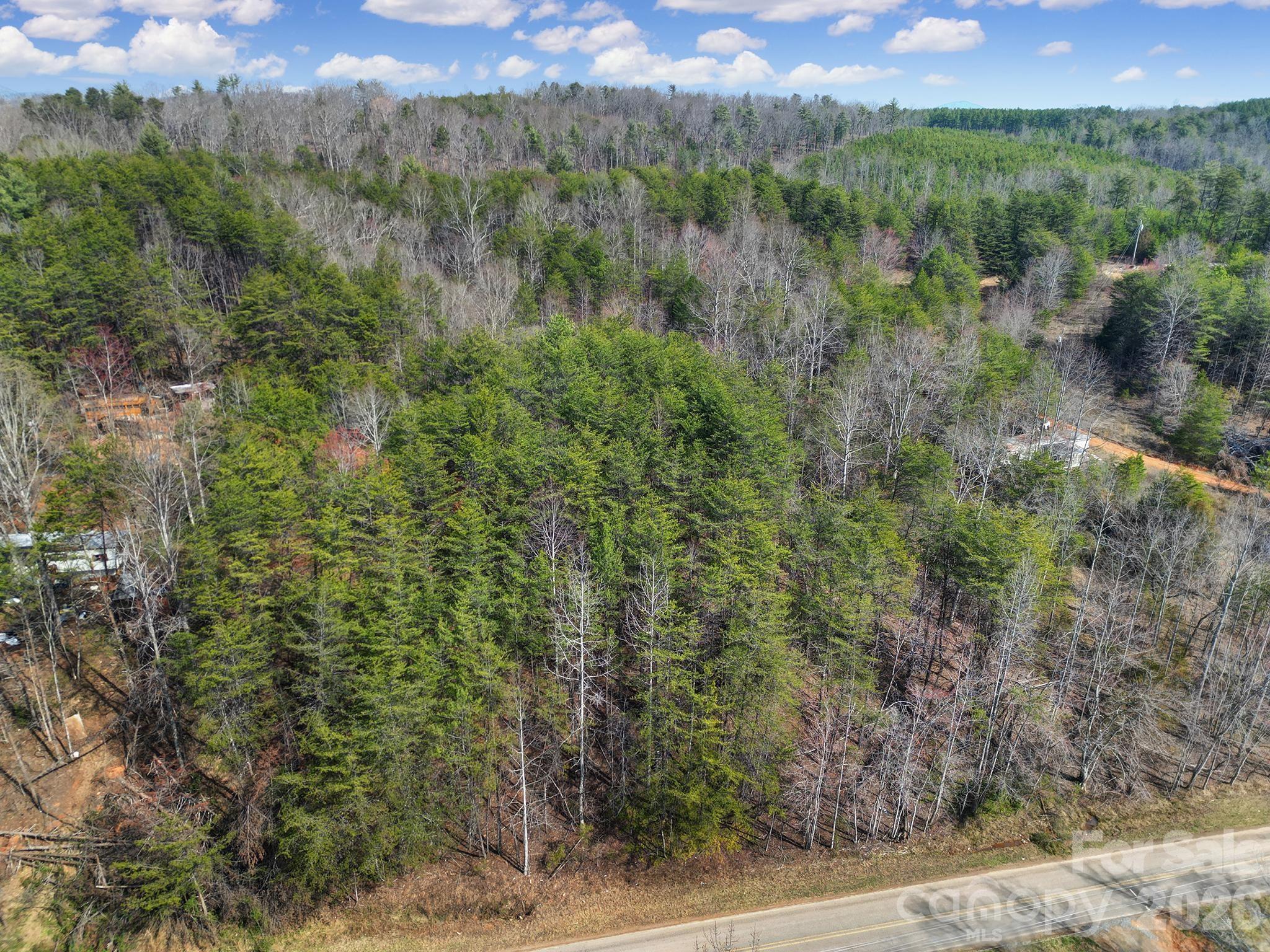 236 Dirty Ankle Road Lawndale, NC 28090 - Photo 2 of 12 a view of a forest with a street