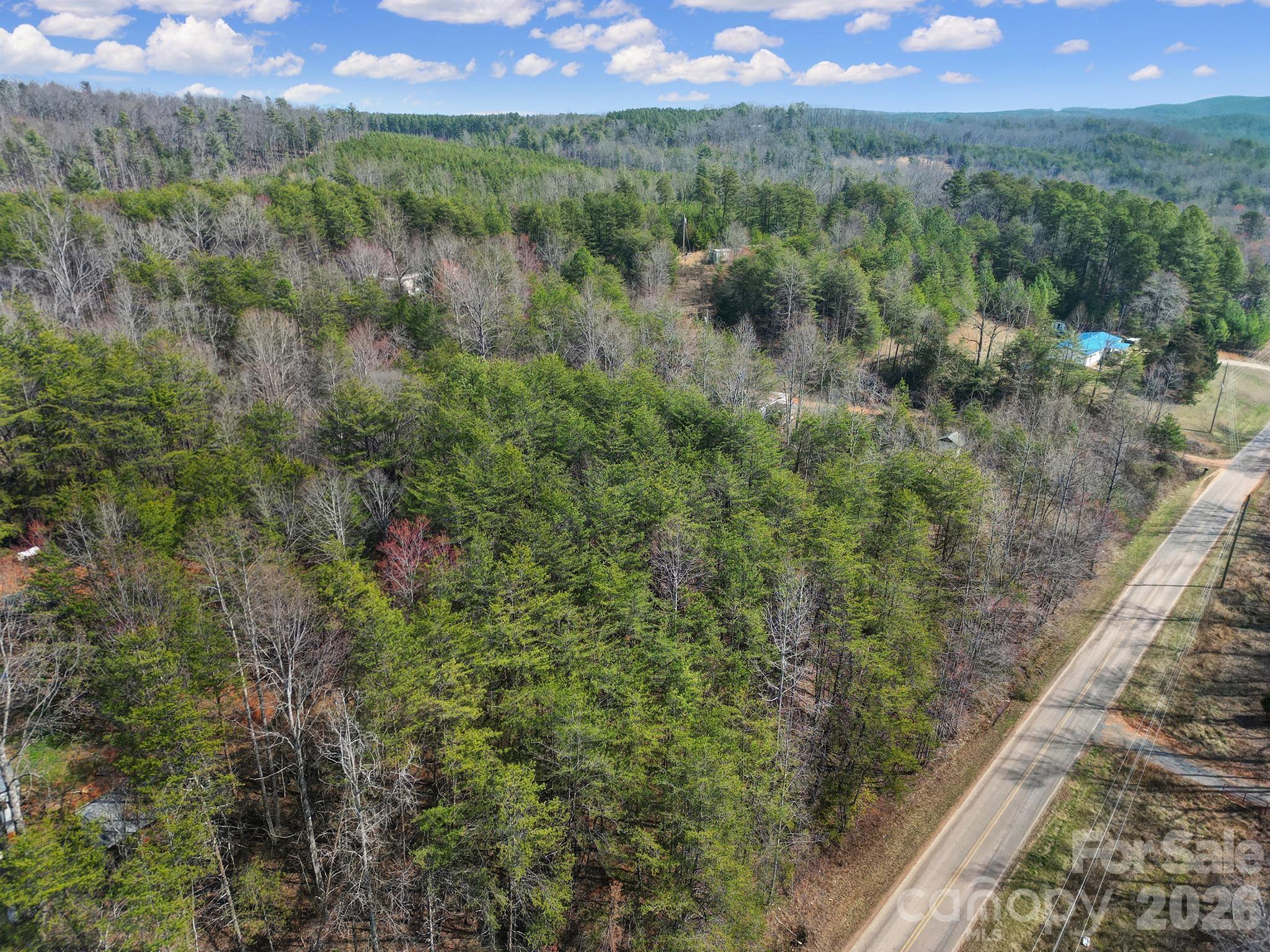 236 Dirty Ankle Road Lawndale, NC 28090 - Photo 3 of 12 a view of a city with lush green forest