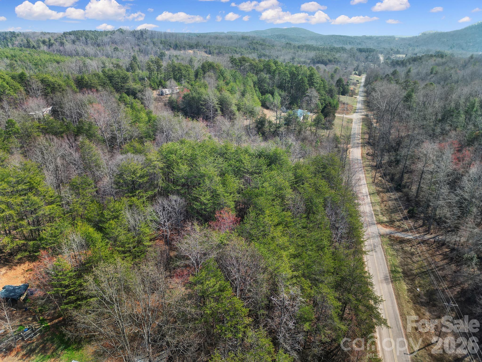236 Dirty Ankle Road Lawndale, NC 28090 - Photo 4 of 12 a view of a lush green forest with trees and houses