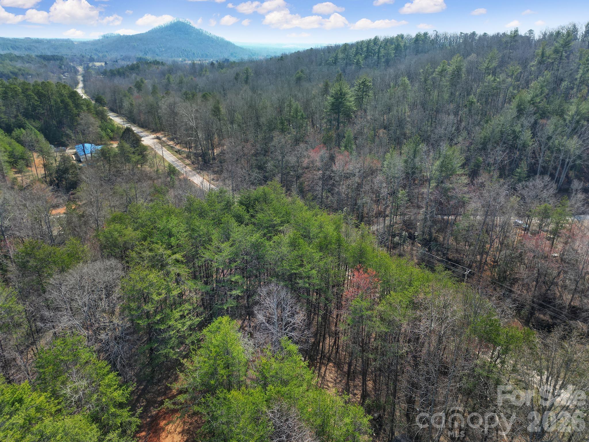 236 Dirty Ankle Road Lawndale, NC 28090 - Photo 5 of 12 a view of a lush green forest with trees and some houses
