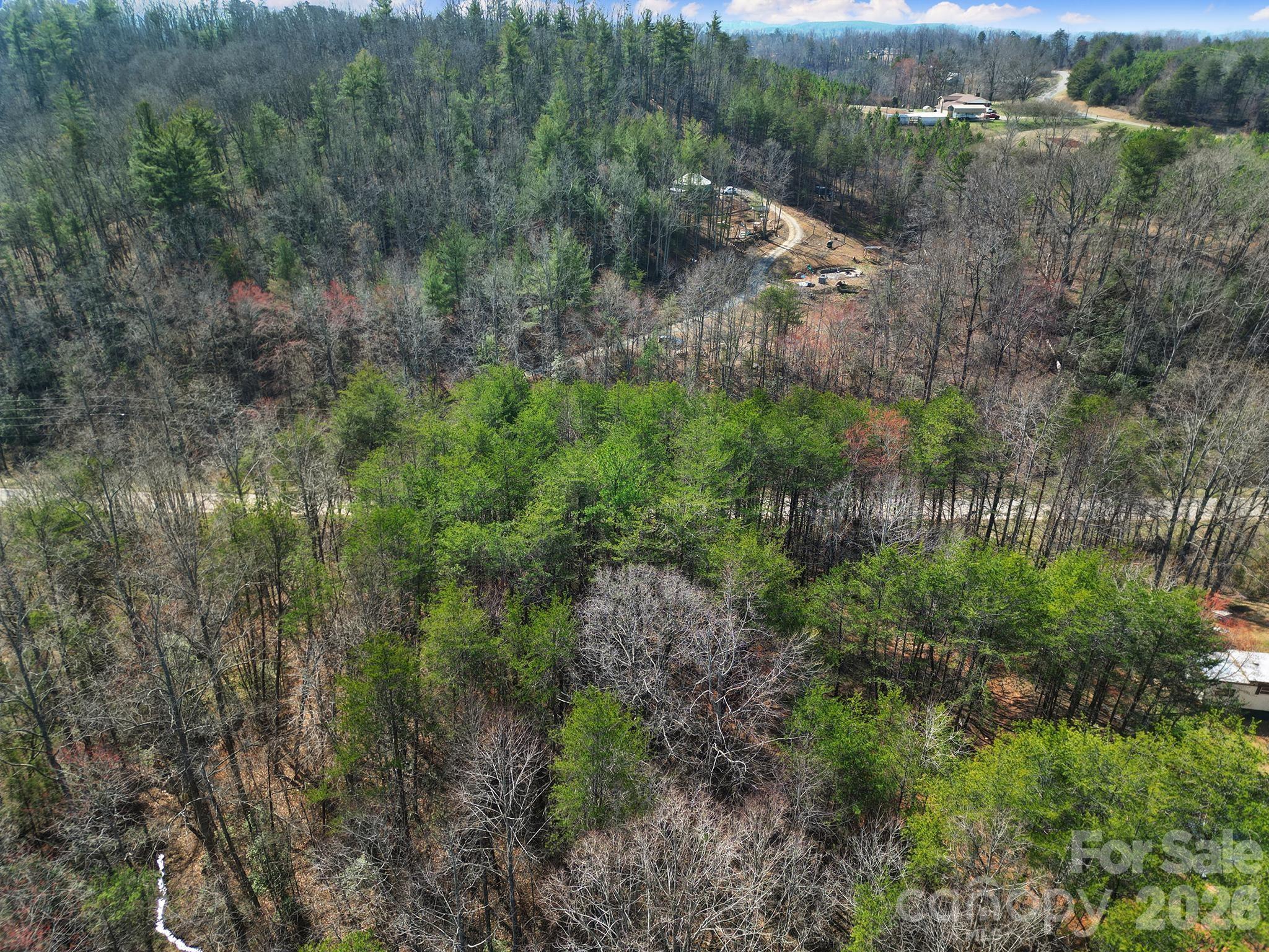 236 Dirty Ankle Road Lawndale, NC 28090 - Photo 7 of 12 a view of a house with a yard