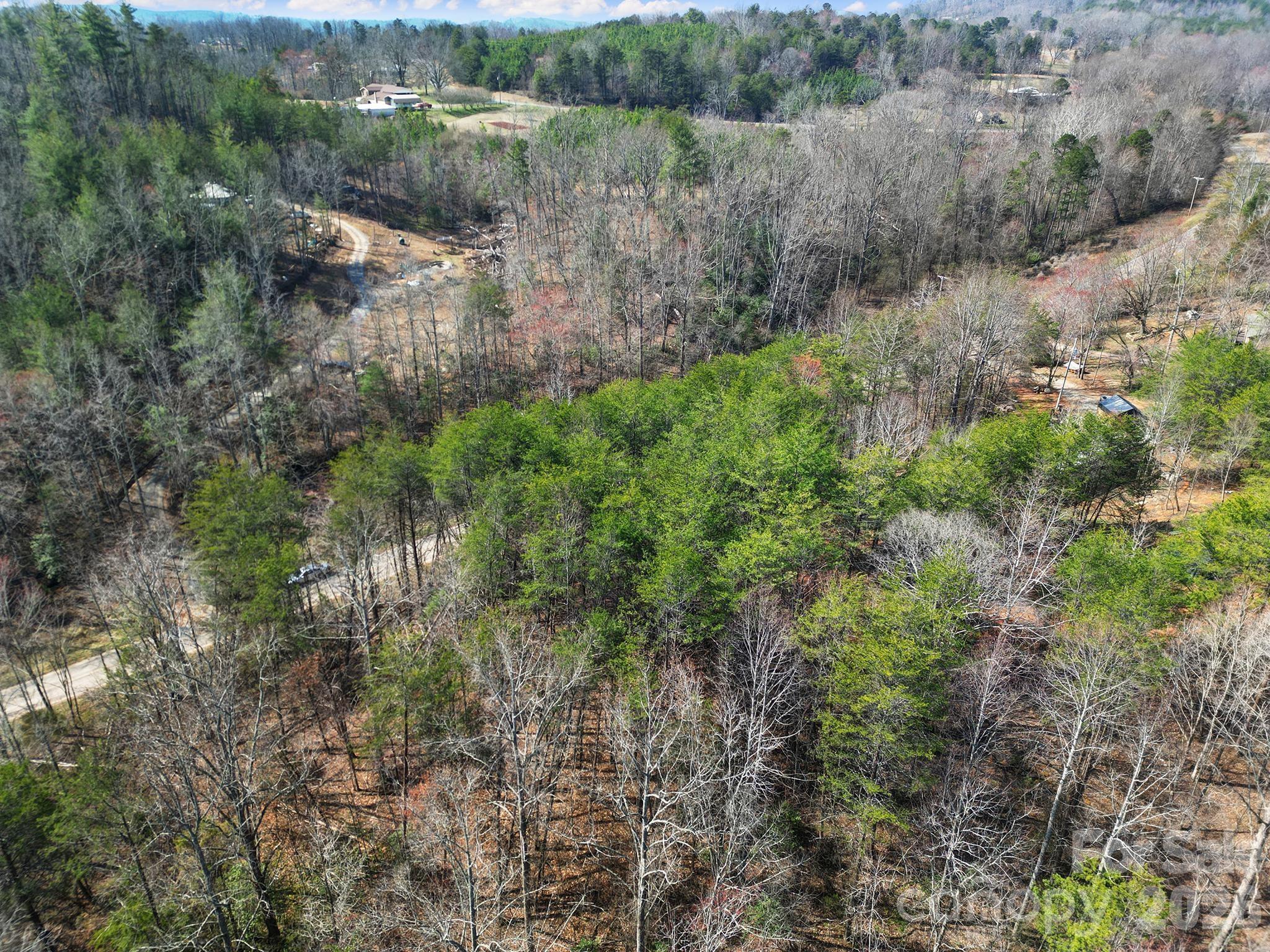 236 Dirty Ankle Road Lawndale, NC 28090 - Photo 8 of 12 a view of a lake with lots of trees