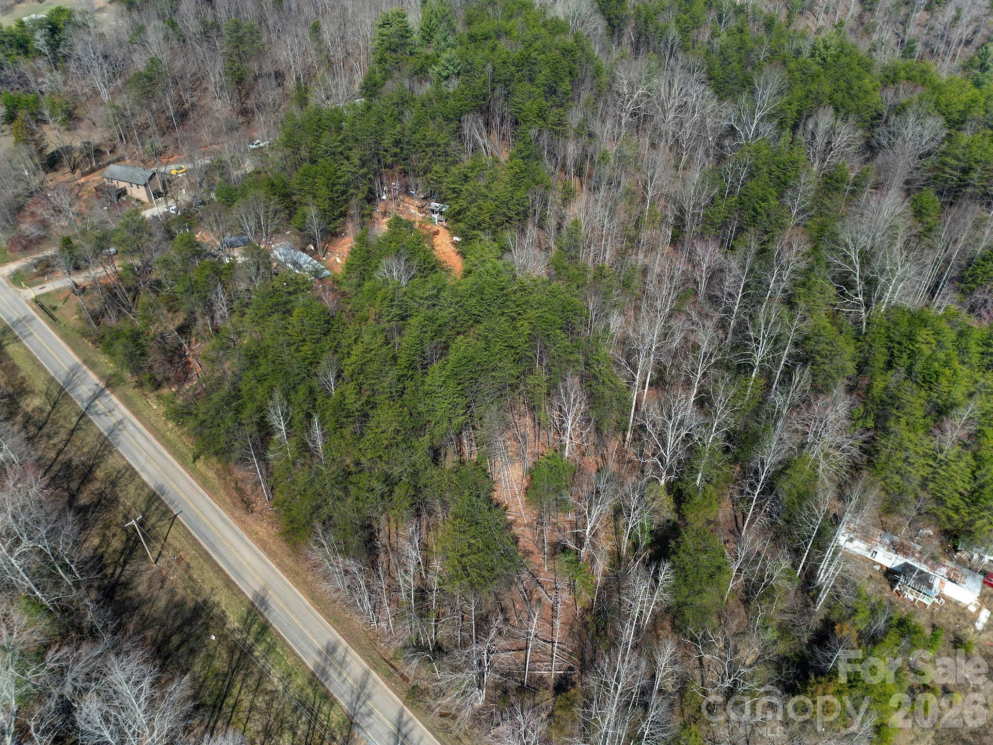 236 Dirty Ankle Road Lawndale, NC 28090 - Photo 9 of 12 a view of a forest from balcony