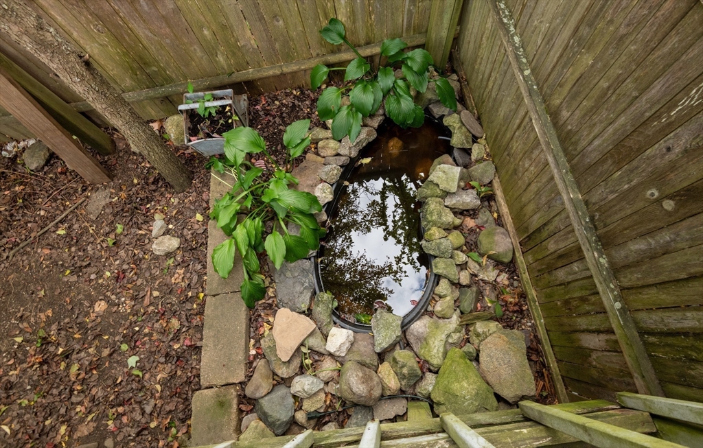 8 Newcomb Avenue Saugus, MA 01906 - Photo 37 of 37 a plant that is in a garden