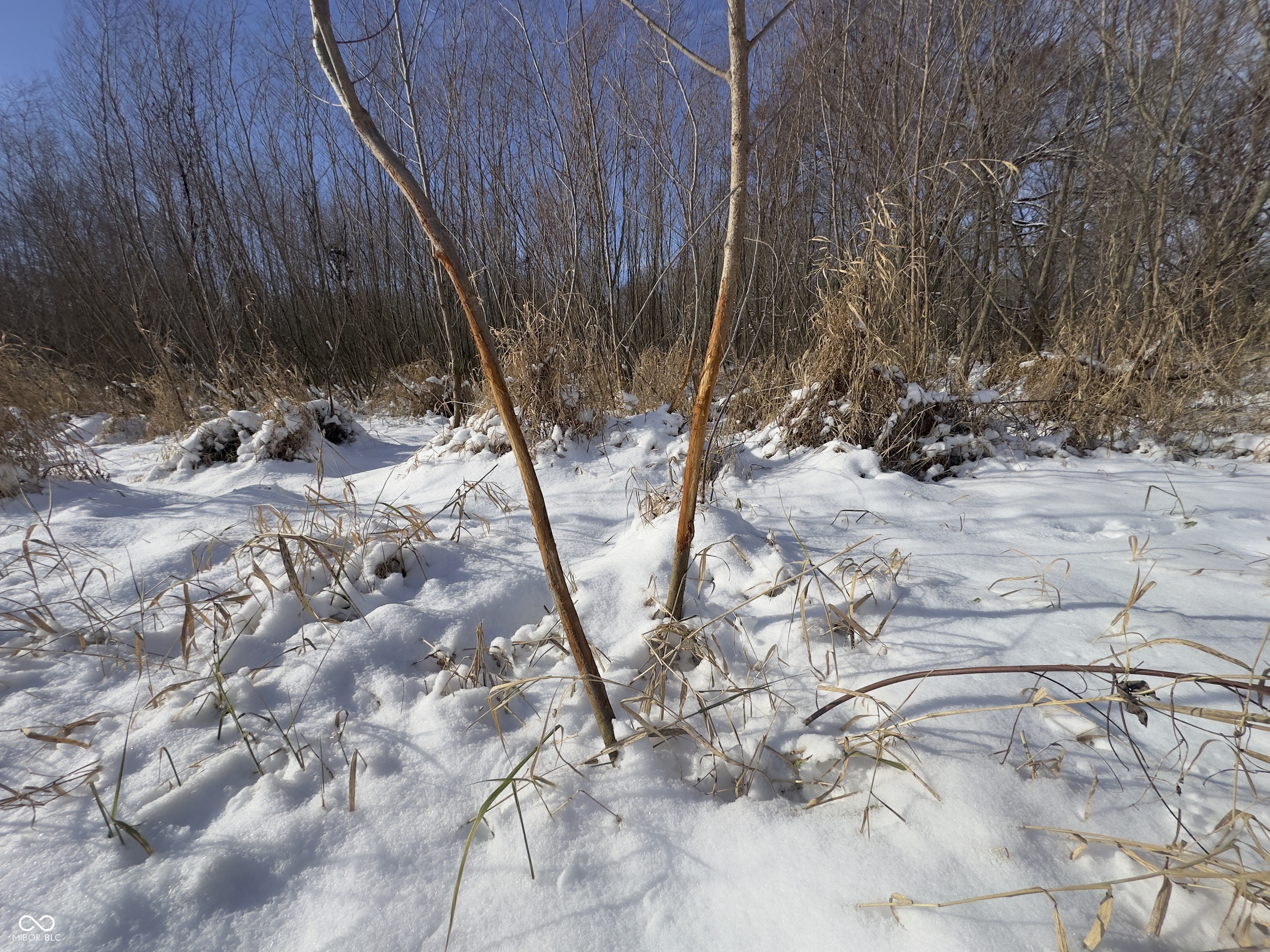 0 East 16th Street Anderson, IN 46016 - Photo 17 of 23