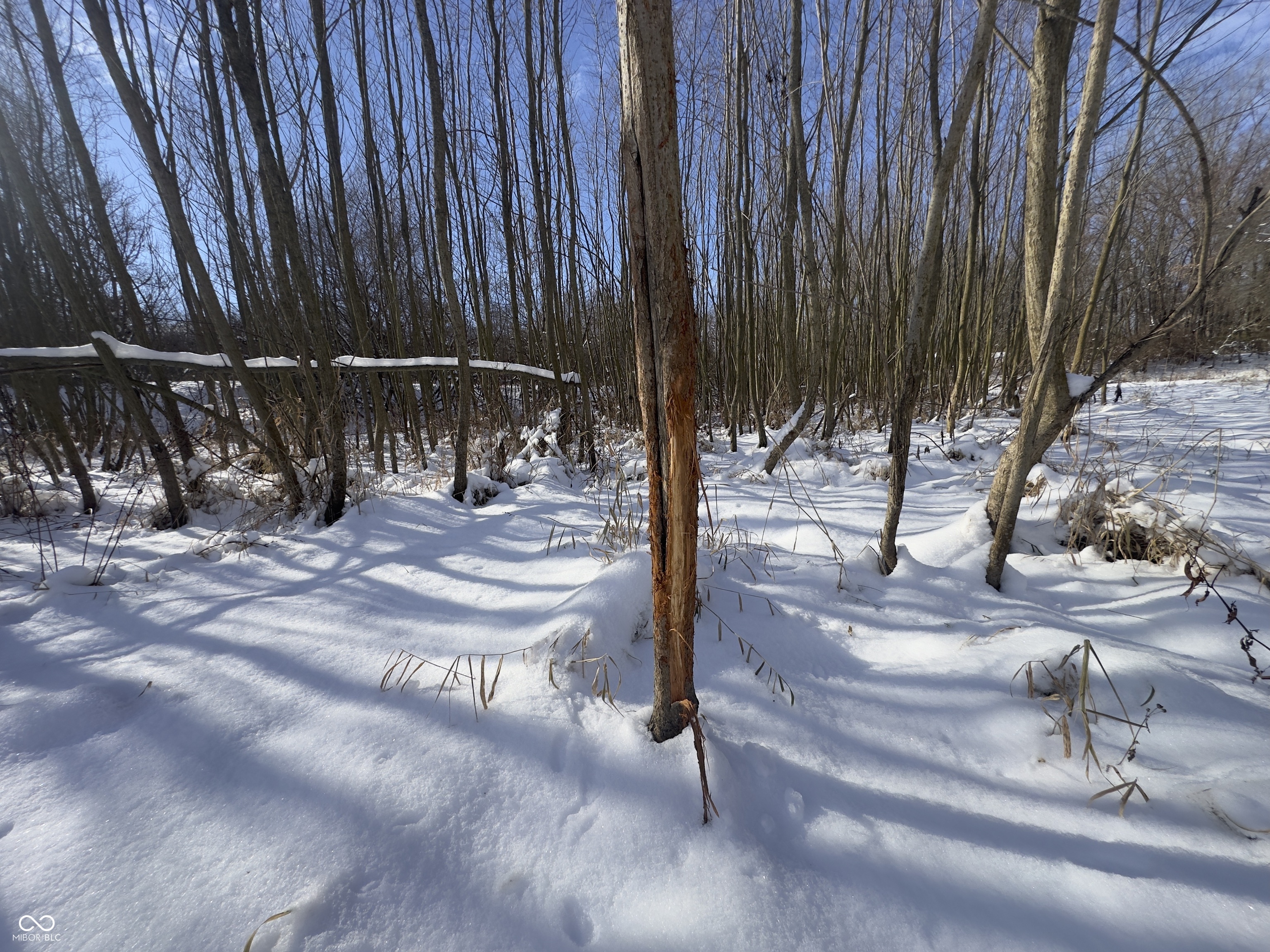 0 East 16th Street Anderson, IN 46016 - Photo 19 of 23