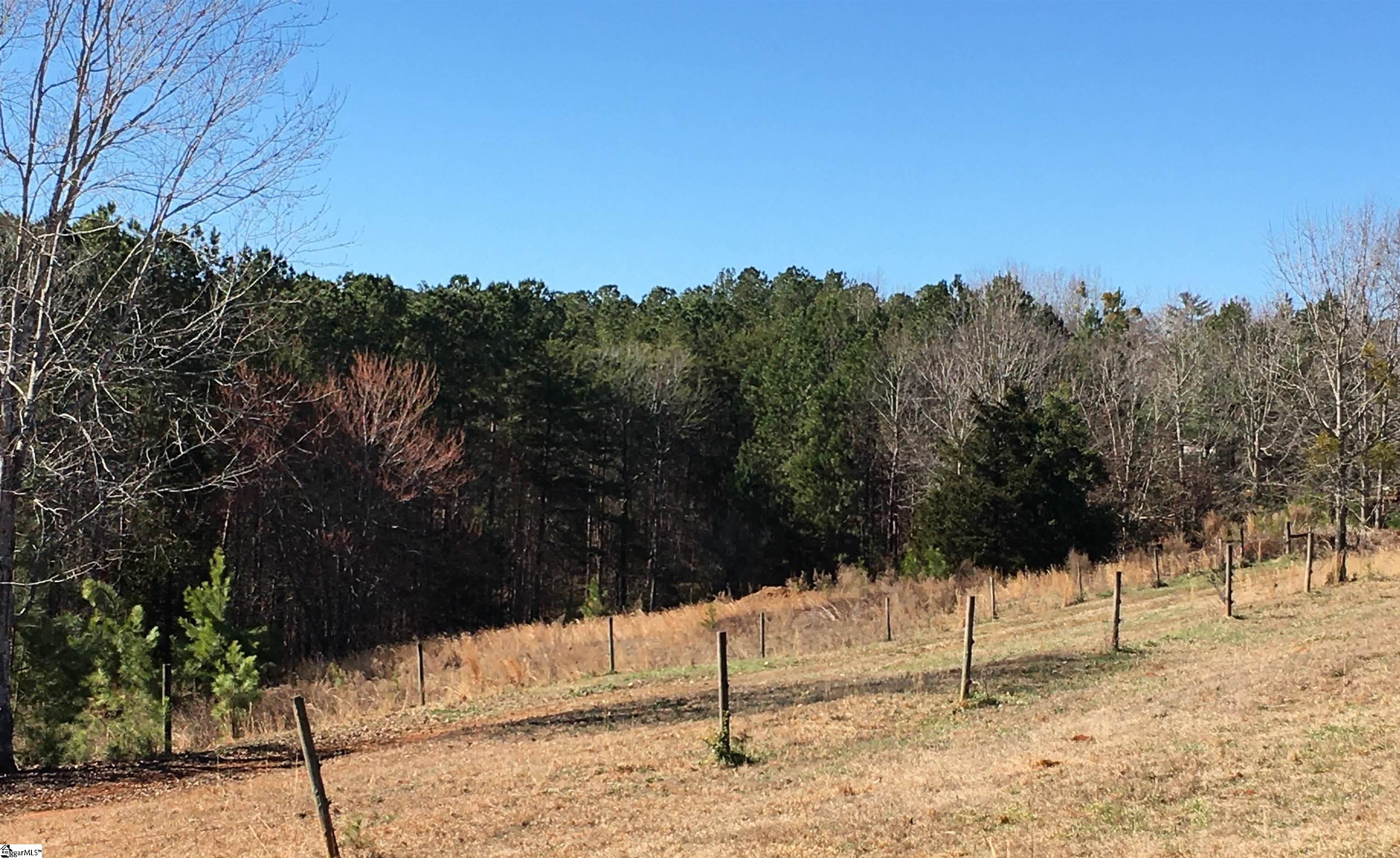 189 Cofferdam Road Six Mile, SC 29682 - Photo 14 of 27 Gallery Image 14