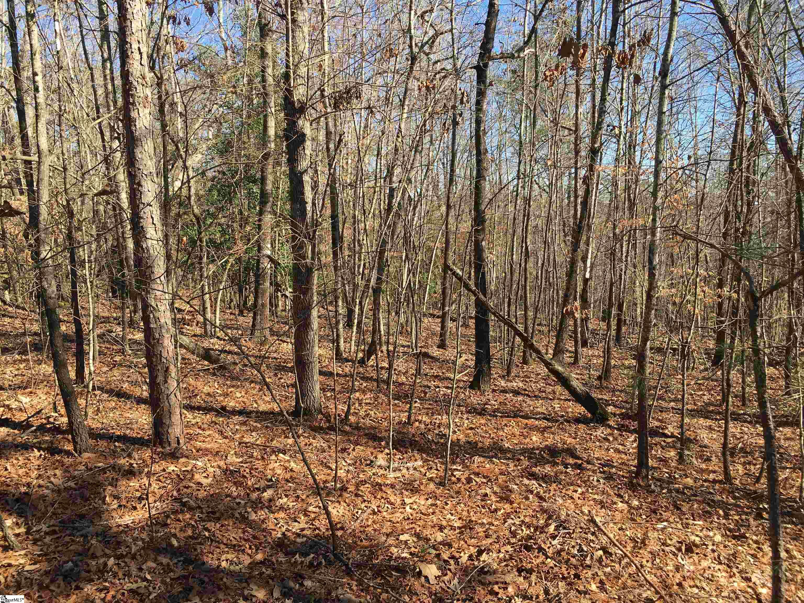 189 Cofferdam Road Six Mile, SC 29682 - Photo 17 of 27 Gallery Image 17