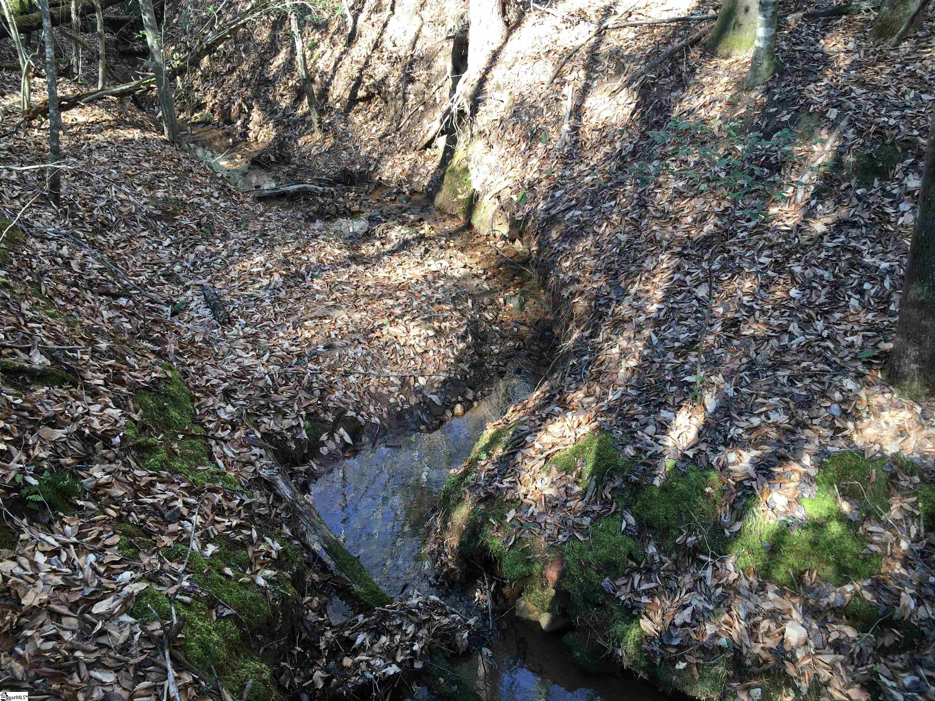 189 Cofferdam Road Six Mile, SC 29682 - Photo 22 of 27 Gallery Image 22