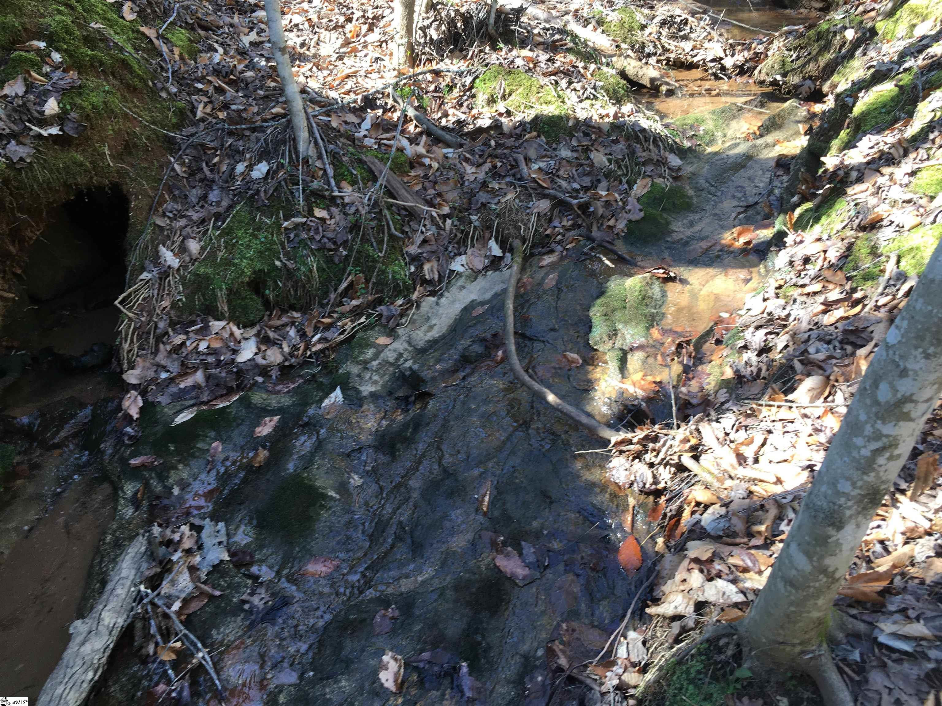 189 Cofferdam Road Six Mile, SC 29682 - Photo 24 of 27 Gallery Image 24