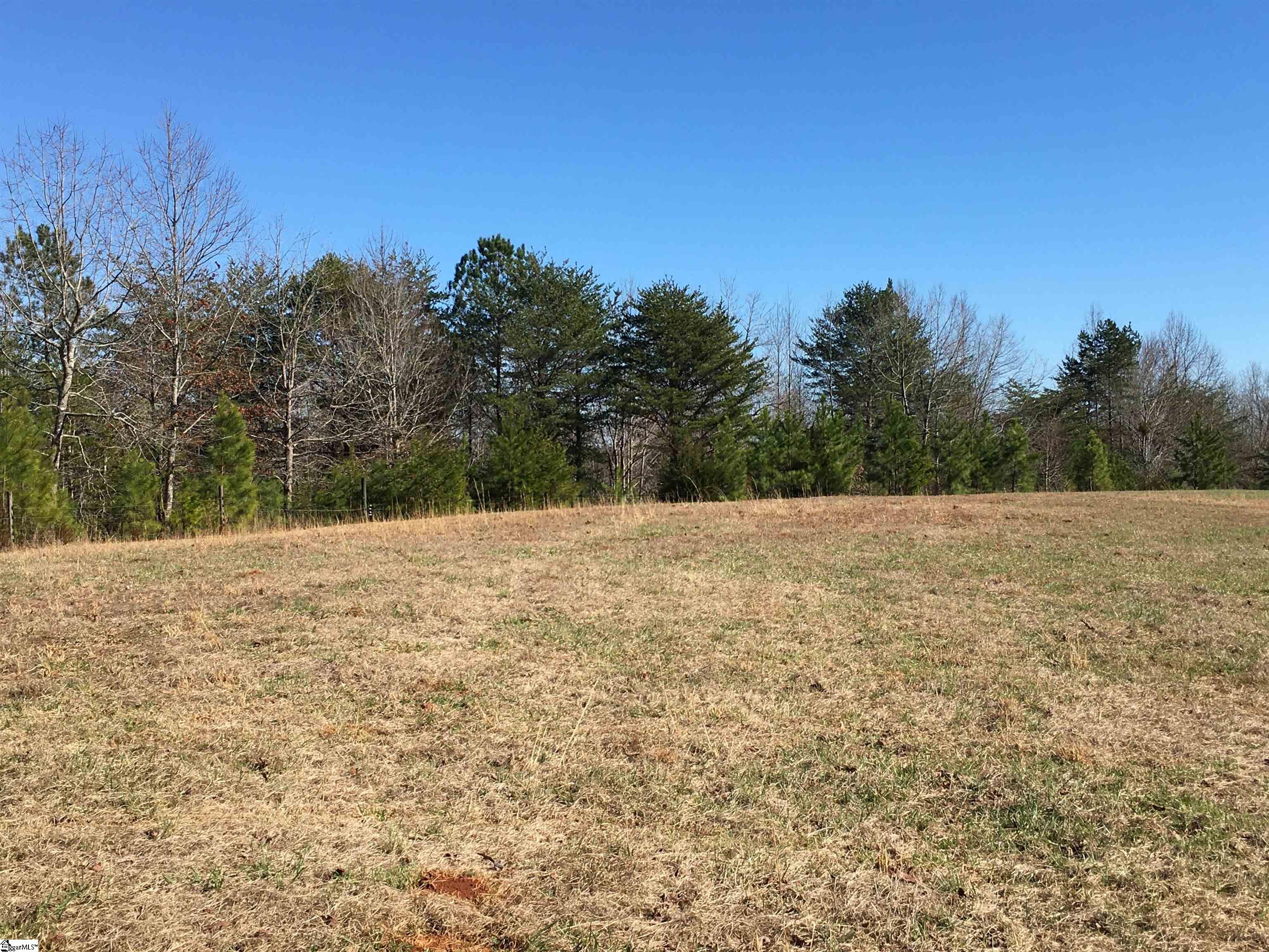 189 Cofferdam Road Six Mile, SC 29682 - Photo 10 of 27 Gallery Image 10