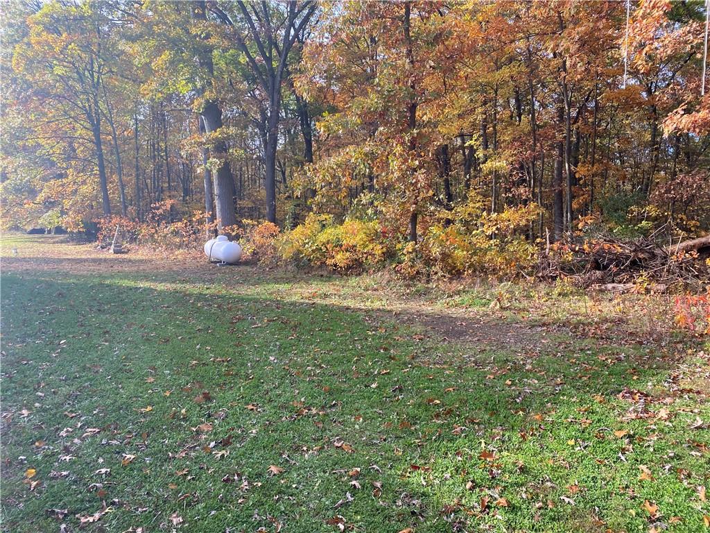 250 Lowman Road Indiana, PA 15701 - Photo 11 of 11 a view of a field with large trees