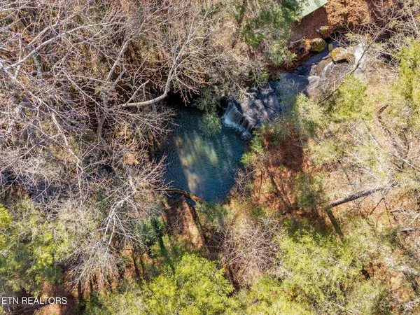 a view of a lake with a tree