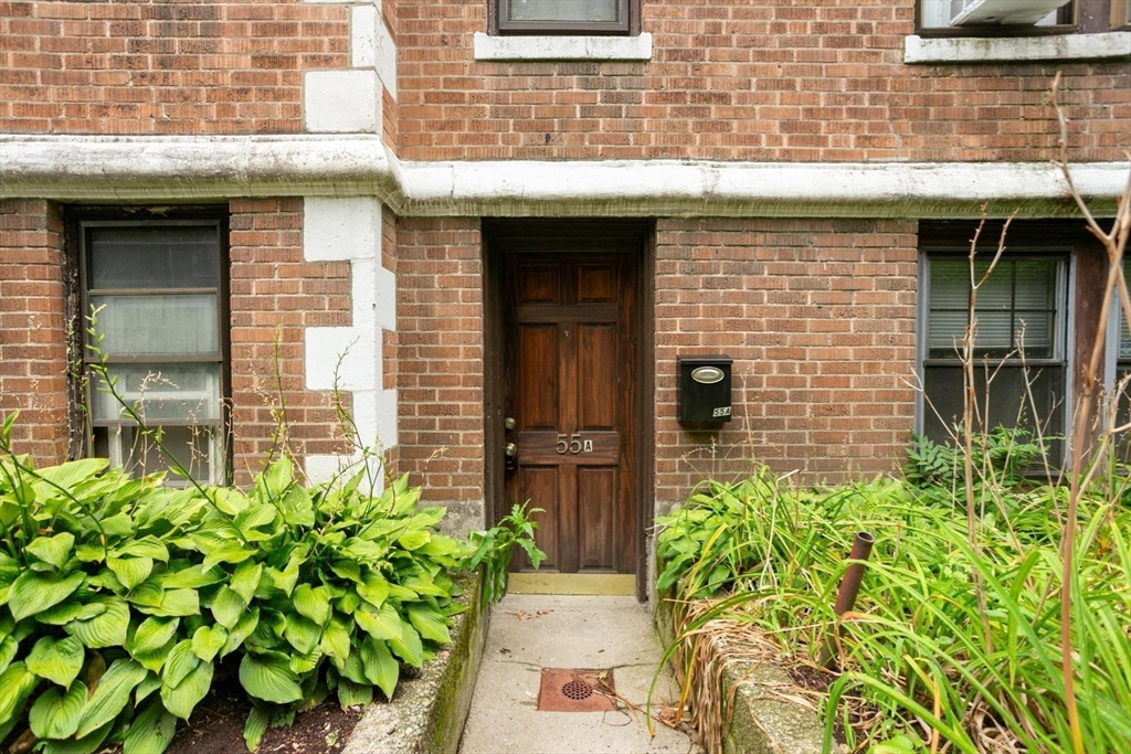 55 A Lanark Road, Unit A Boston, MA 02135 - Photo 17 of 18 a view of entrance of the house with potted plants