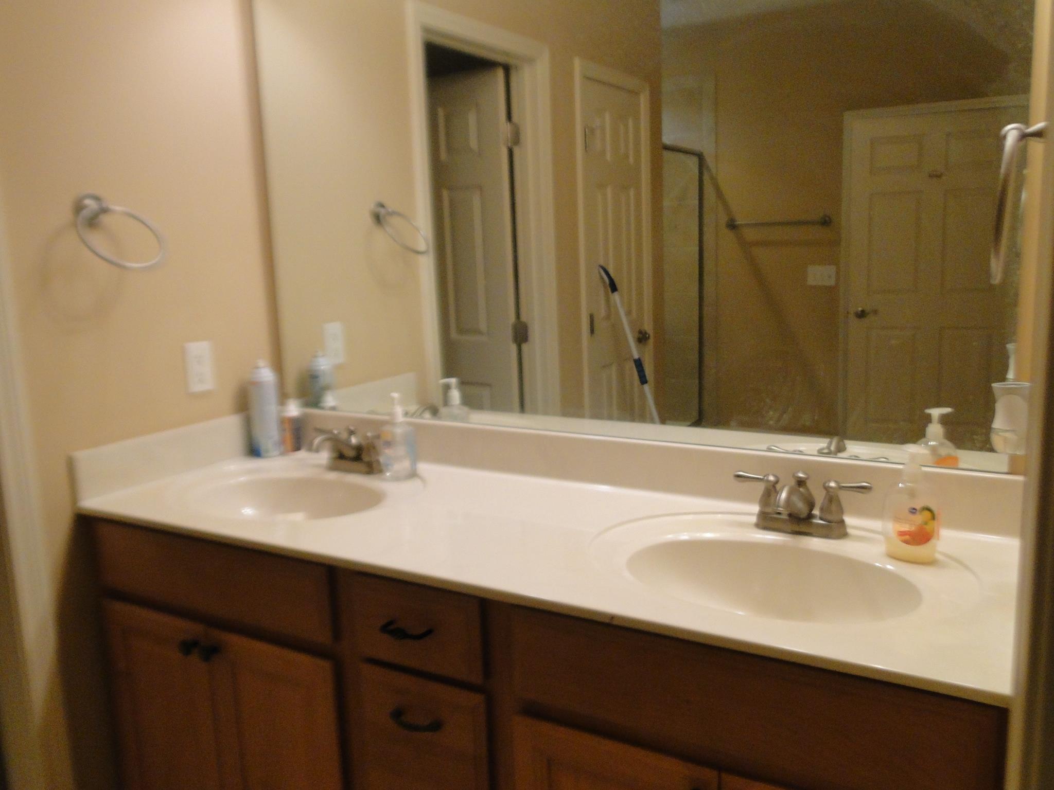 3900 Rowland Road Murfreesboro, TN 37128 - Photo 15 of 29 Master bath has double vanities.
