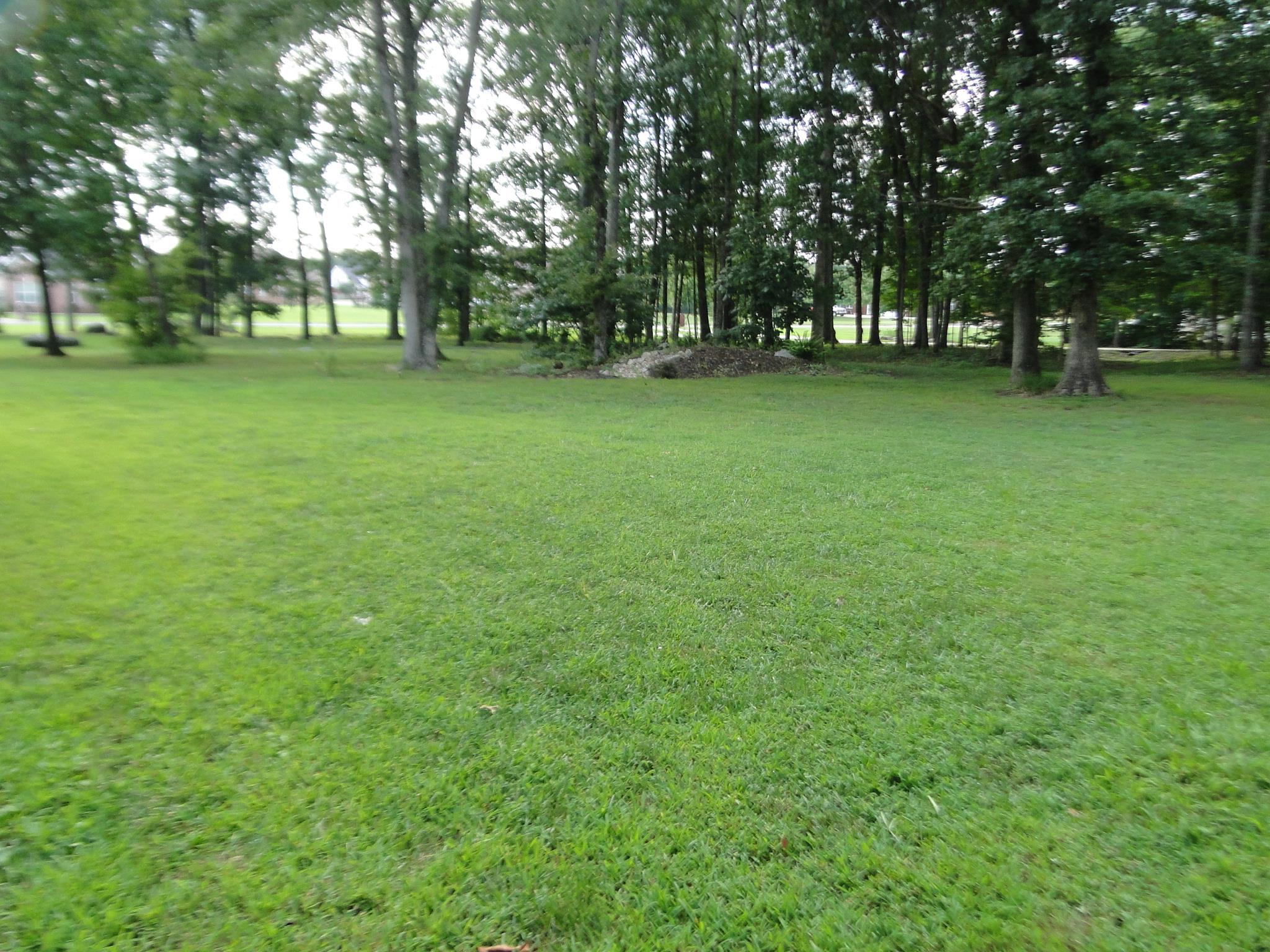 3900 Rowland Road Murfreesboro, TN 37128 - Photo 24 of 29 Front yard with tree break to make the house more private.