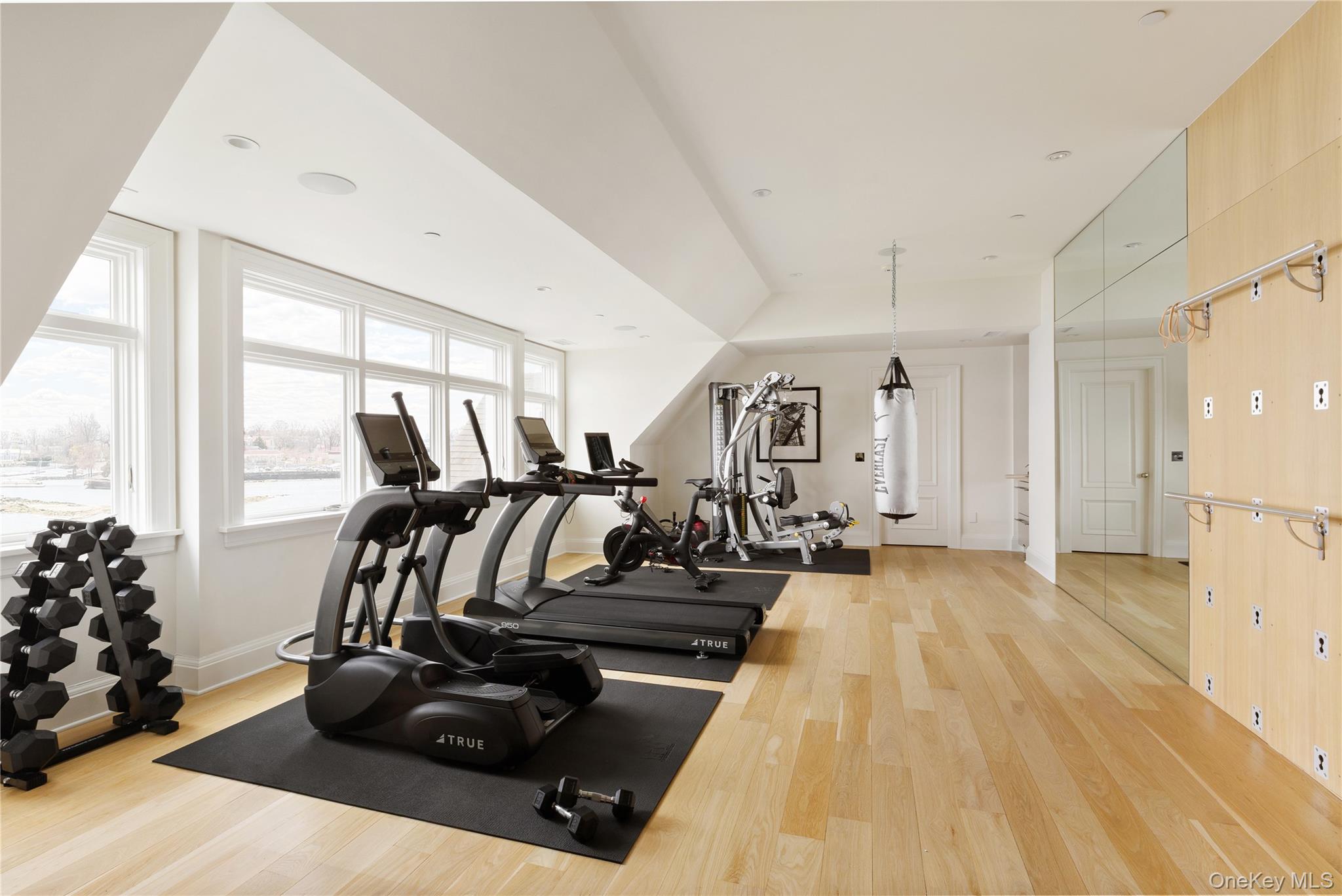 217 Hommocks Road Larchmont, NY 10538 - Photo 31 of 49 a view of a room with gym equipment