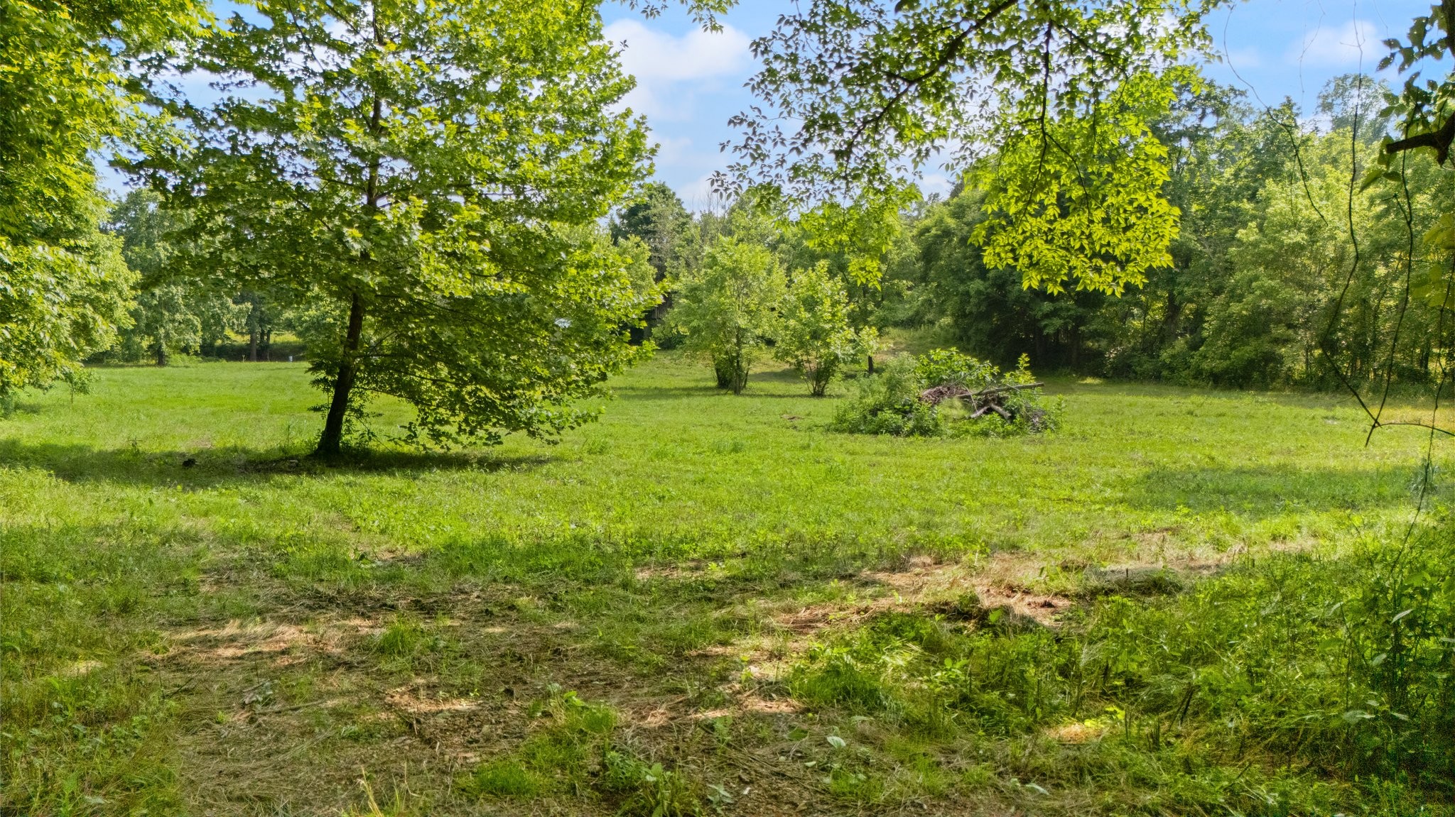 42 Oneal Road Adolphus, KY 42120 - Photo 18 of 28 Gallery Image 18