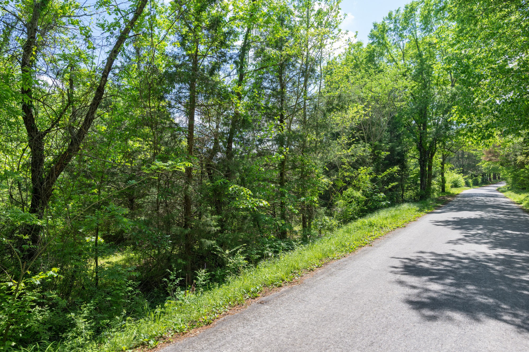 0 Red Williams Road Huntingdon, TN 38344 - Photo 3 of 11