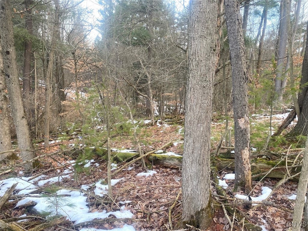 7634 Tucker Hill Road Caneadea, NY 14744 - Photo 21 of 23