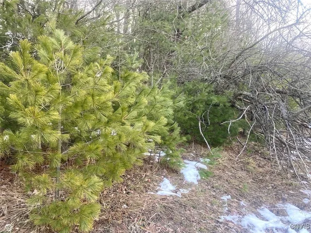 $133,900 | 7634 Tucker Hill Road, Caneadea, NY 14744