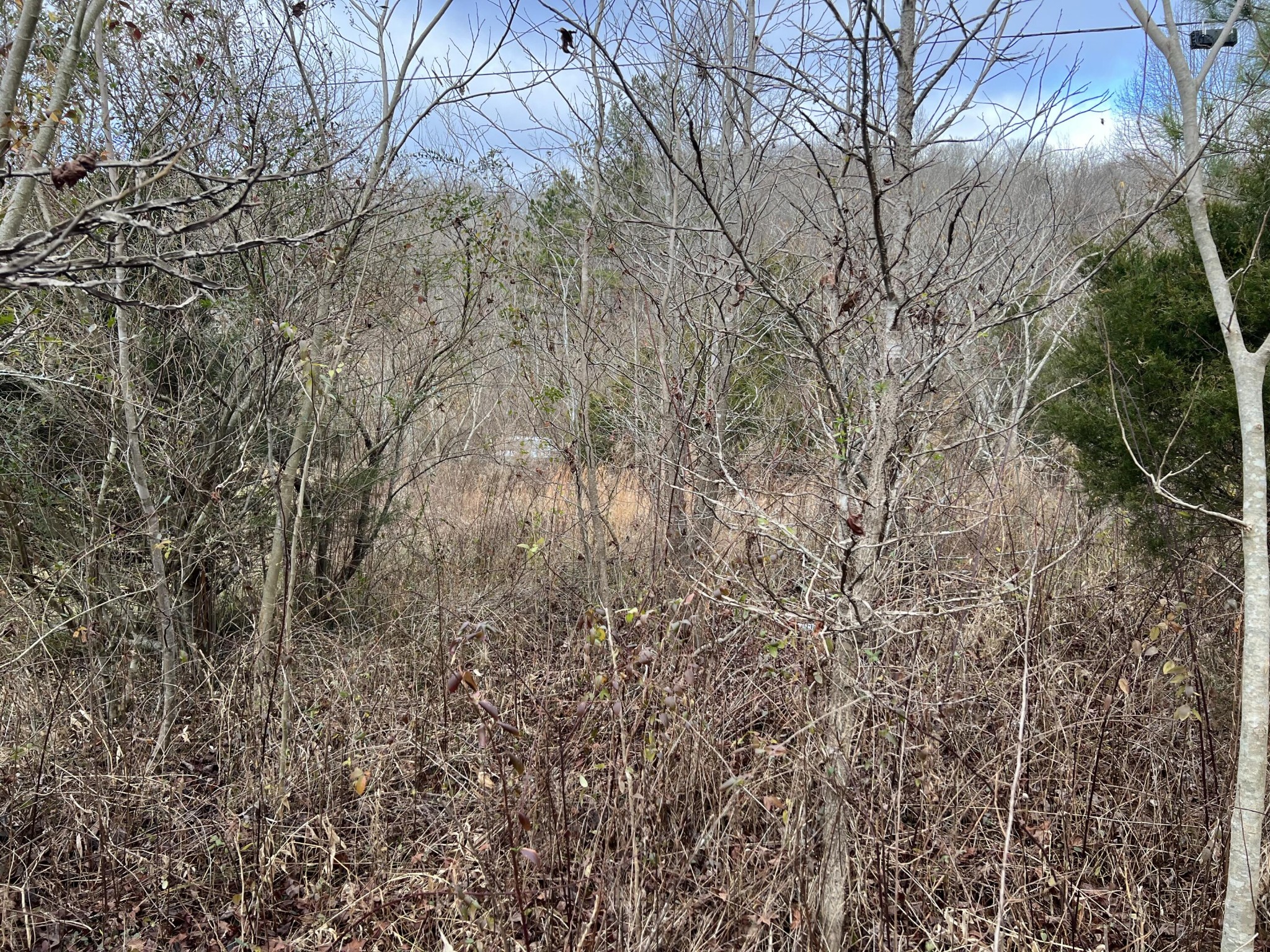 2164 Co Road Decatur, TN 37322 - Photo 25 of 53